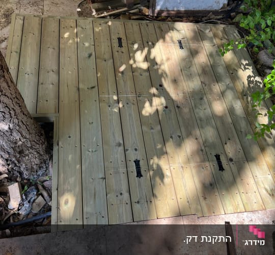 דק עץ עם עץ עובר דרכו בגינה